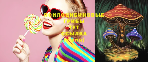 бошки Щигры