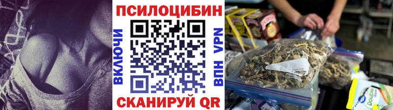 Купить где  Сольцы  Галлюциногенные грибы Magic Shrooms 